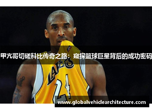 甲亢哥切磋科比传奇之路：窥探篮球巨星背后的成功密码